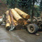 Log truck accident Log truck accident