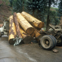 Log truck accident